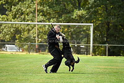 Magnus von der Fehnkolonie