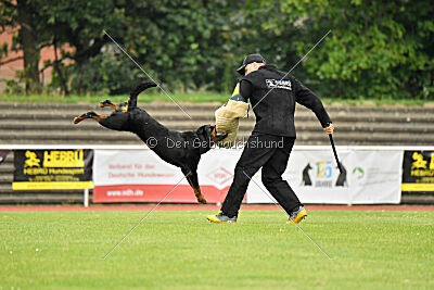 Magnus von der Fehnkolonie