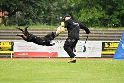 Magnus von der Fehnkolonie