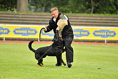 Magnus von der Fehnkolonie