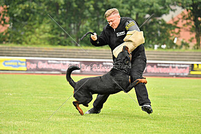 Magnus von der Fehnkolonie
