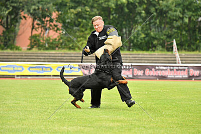 Magnus von der Fehnkolonie
