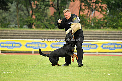 Magnus von der Fehnkolonie