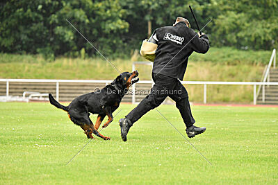 Magnus von der Fehnkolonie