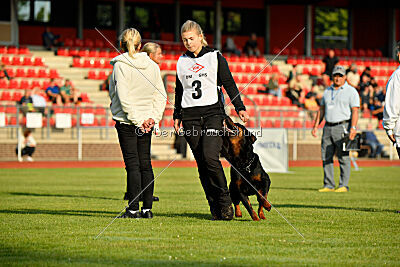 Magnus von der Fehnkolonie