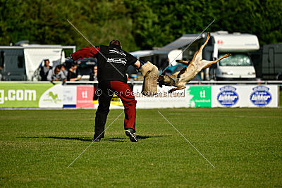 Malimaniac's Be Crazy