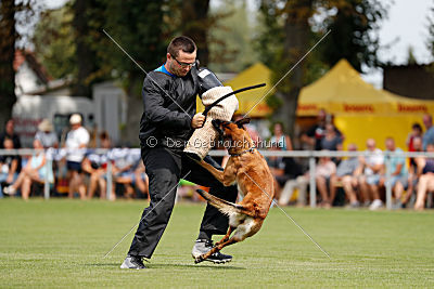 Malimaniac's Be Crazy