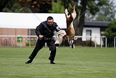 Malimaniac's Be Crazy