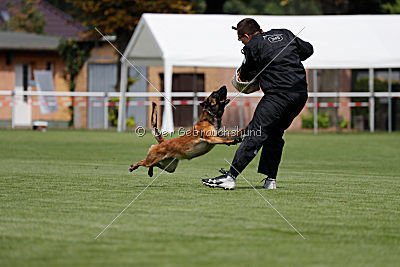 Malimaniac's Be Crazy