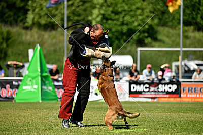 Malimaniac's Daft Punk