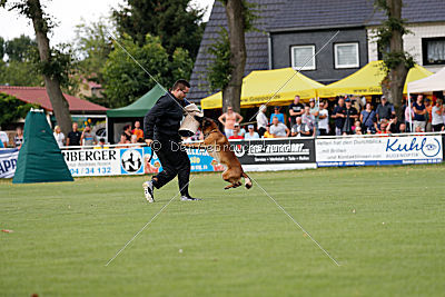 Malimaniac's Daft Punk