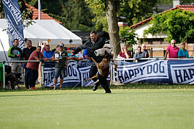 Malimaniac's Daft Punk