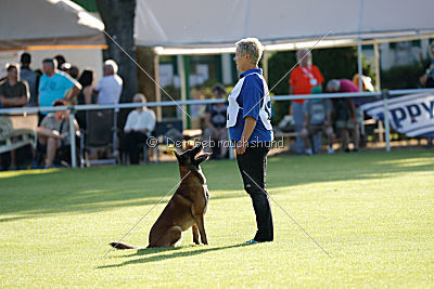 Malimaniac's Daft Punk