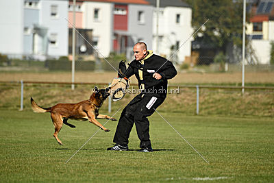 Malimaniac's Daft Punk