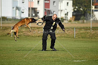 Malimaniac's Daft Punk