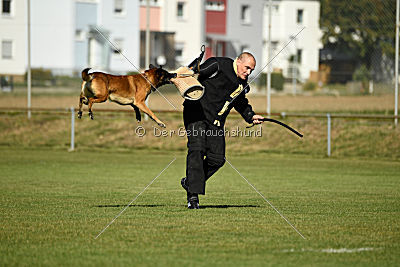 Malimaniac's Daft Punk