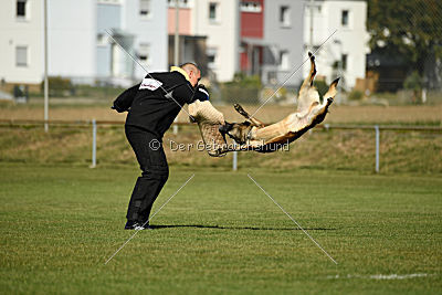 Malimaniac's Daft Punk