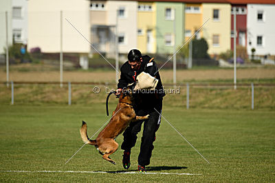 Malimaniac's Daft Punk