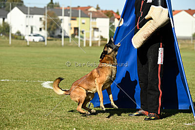 Malimaniac's Daft Punk