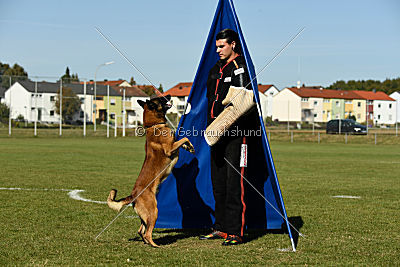 Malimaniac's Daft Punk