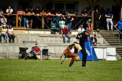 Malimaniac's Daft Punk