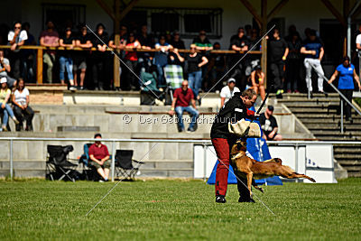 Malimaniac's Daft Punk