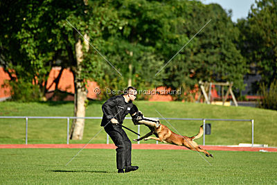 Malimaniac's Daft Punk