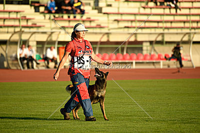 Malinger's Presto Dante