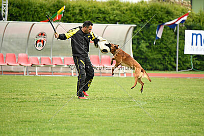 Malisko Sky is the Limit