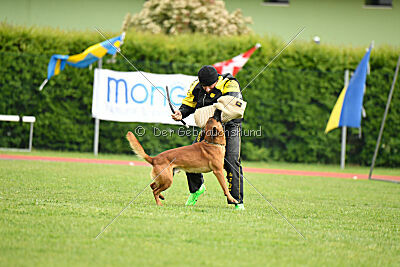 Malisko Sky is the Limit