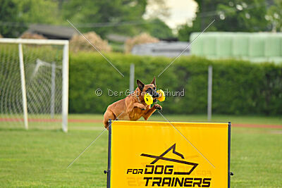 Malisko Sky is the Limit