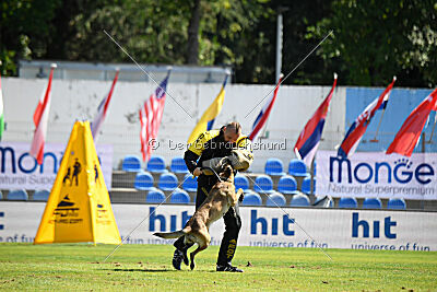 Mamba Tore's Working Dogs