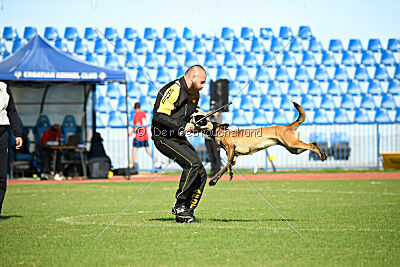 Mamba Tore's Working Dogs