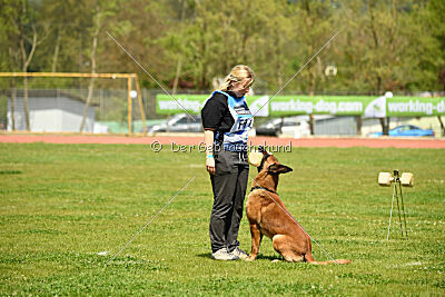 Mambo des Pas des Betes