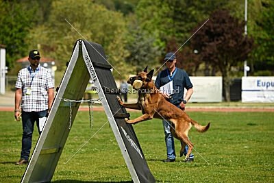 Mambo des Pas des Betes