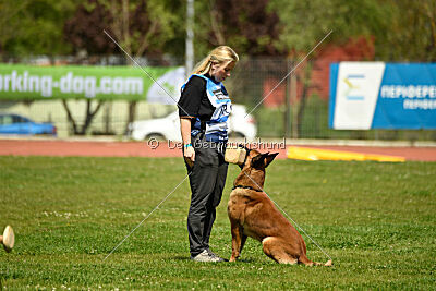 Mambo des Pas des Betes