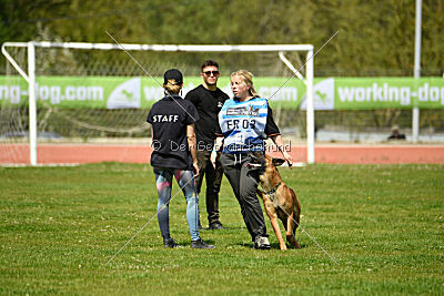 Mambo des Pas des Betes