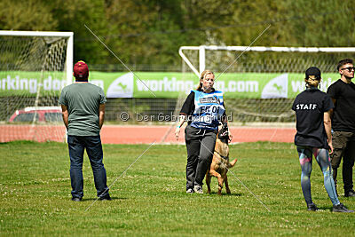 Mambo des Pas des Betes