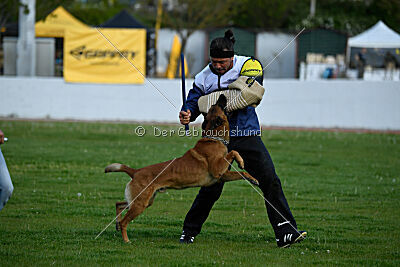 Mambo des Pas des Betes