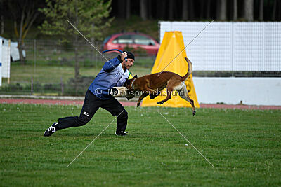 Mambo des Pas des Betes