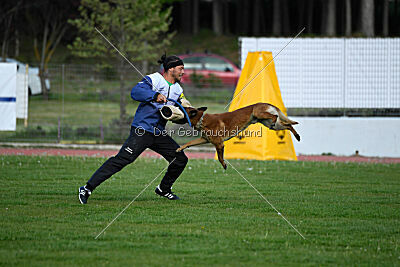 Mambo des Pas des Betes