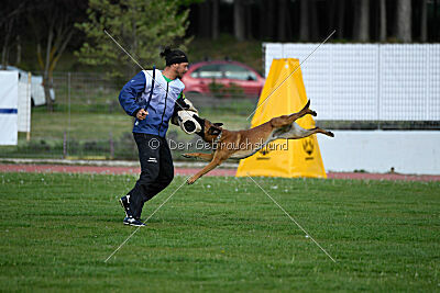 Mambo des Pas des Betes