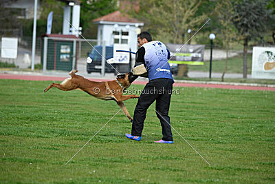 Mambo des Pas des Betes