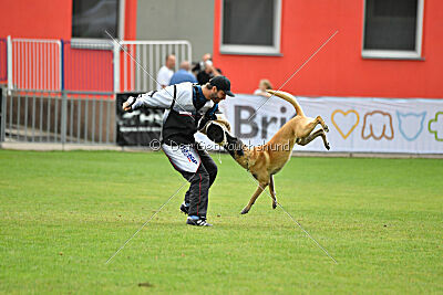 Marax Du Wossel