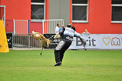 Marax Du Wossel