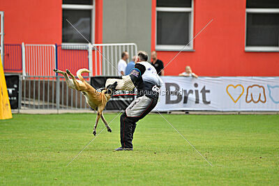 Marax Du Wossel