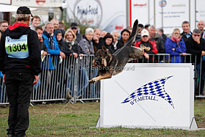 Marco vom alten Schemel