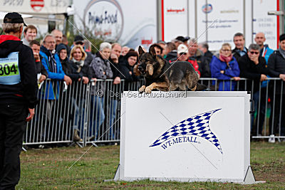 Marco vom alten Schemel