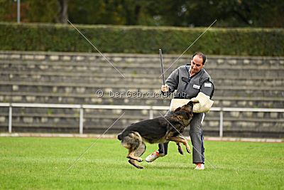 Marco vom alten Schemel