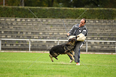 Marco vom alten Schemel
